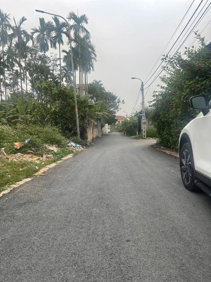 Đất nền Thị trấn Hợp Hòa, Tam Dương 108 m² - Mặt tiền rộng, giá thỏa thuận!