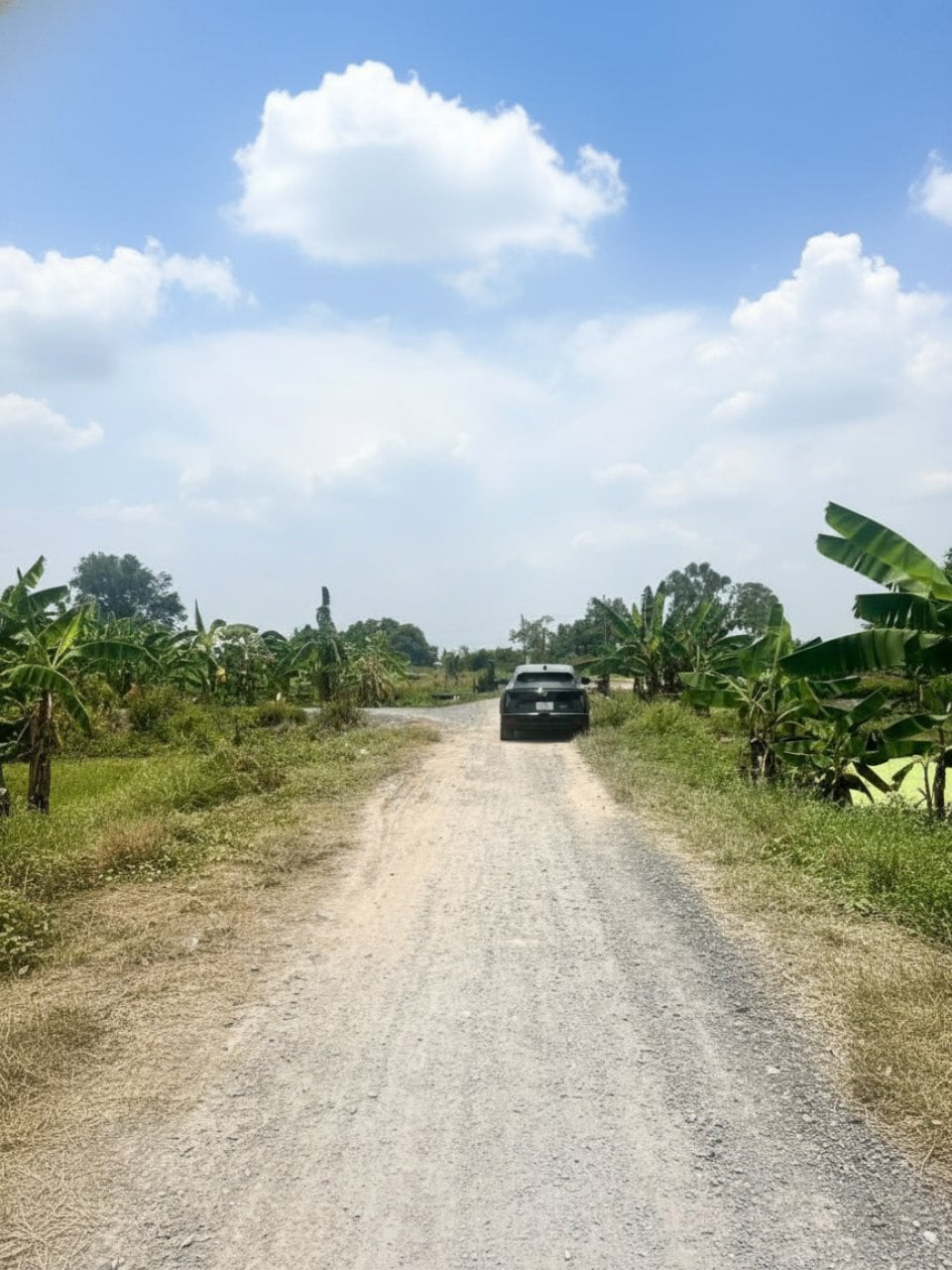 Đất mặt tiền SHR HXH Thạnh Xuân 52 Hóc Môn 999m² giá 7.5 tỷ - Cơ hội đầu tư tuyệt vời!