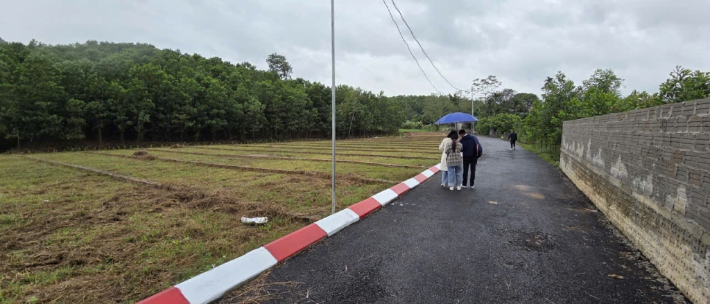 Đất sổ đỏ An Bình Hòa Bình 75m² giá 195 triệu - Cơ hội đầu tư không thể bỏ lỡ!