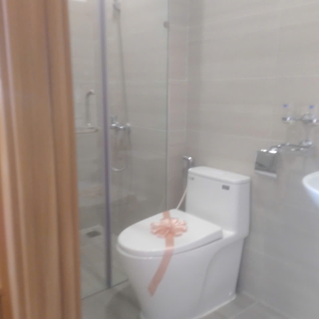 Căn hộ 2 phòng ngủ 50m² gần Big C Go Đồng Nai giá 1.15 tỷ - Chính chủ bán gấp!