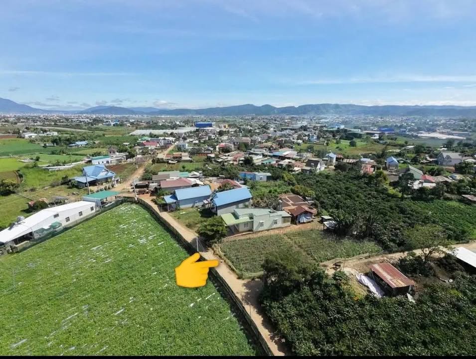 Đất 2 Mặt Tiền Xã Phú Hội 220m² giá 1.1 tỷ - Đầu tư sinh lời ngay!