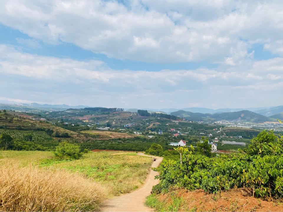 Đất Nam Ban, Lâm Hà 730m² giá chỉ 1.241 tỷ - View toàn thị trấn cực đẹp!