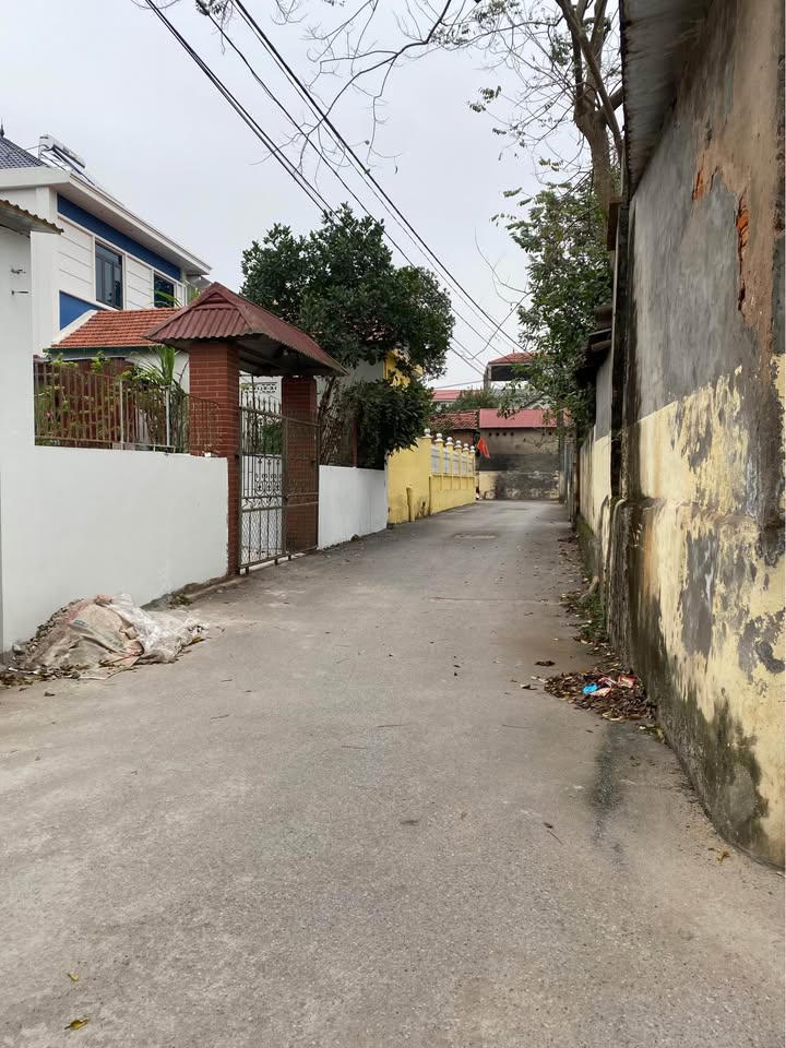 Đất thổ cư 900m² tại Nguyệt Đức - Yên Lạc giá yêu thương - Đầu tư sinh lời ngay!