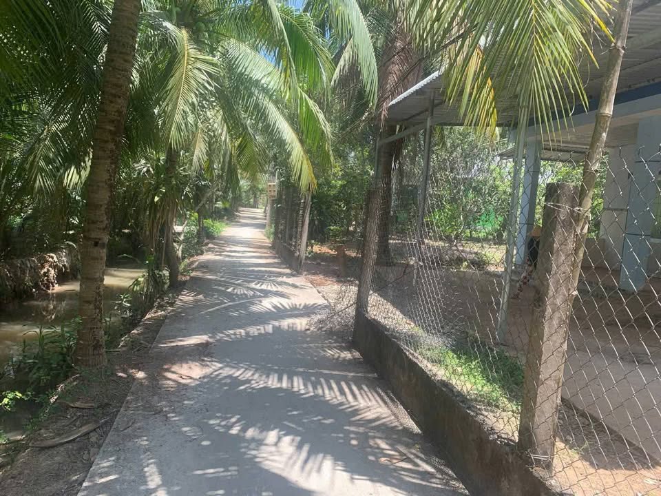 Đất và nhà Xã Quới Sơn, Châu Thành, Bến Tre 830m² giá chỉ 1.4 tỷ - Cơ hội đầu tư hấp dẫn!