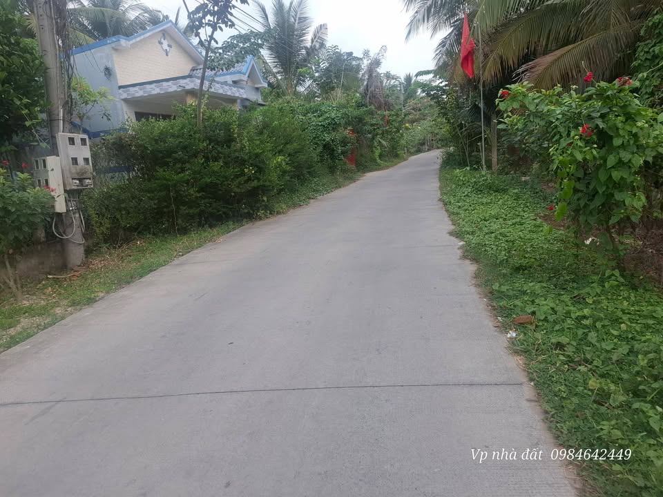 Đất nền Tân Thành Bình 1230m² giá thỏa thuận - Cơ hội đầu tư sinh lời!