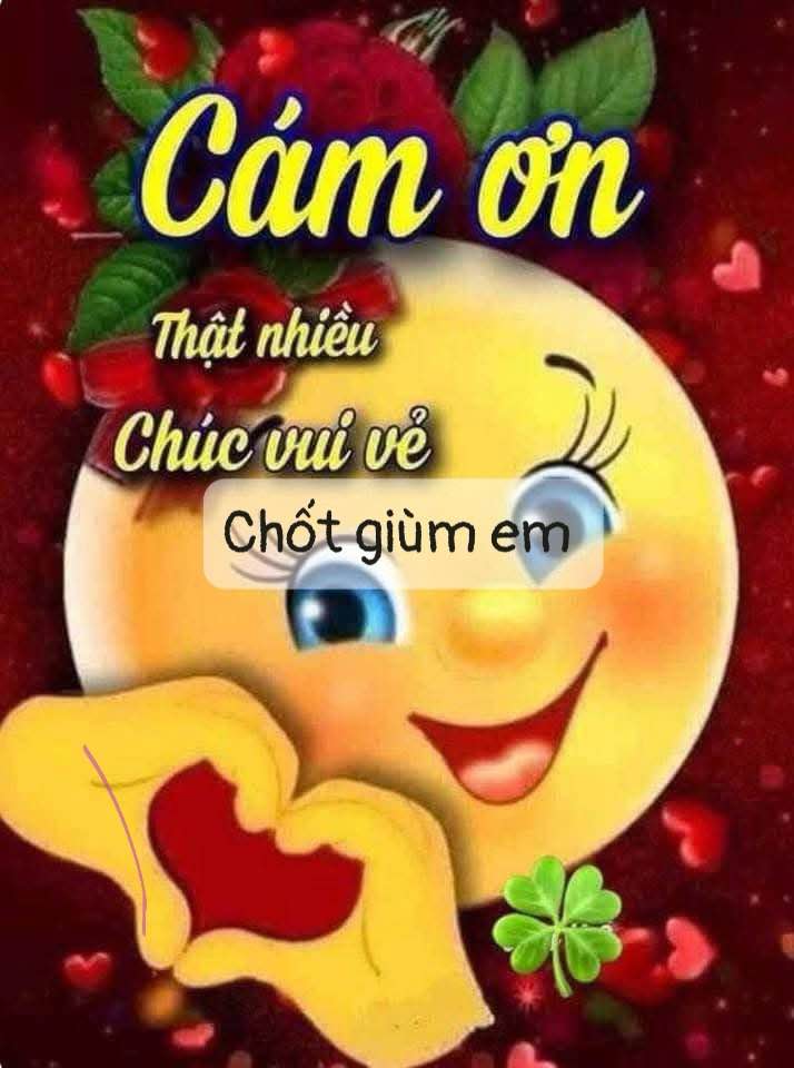 Đất nền 1447m² tại Phú Khương, Bến Tre - Cơ hội đầu tư tuyệt vời!