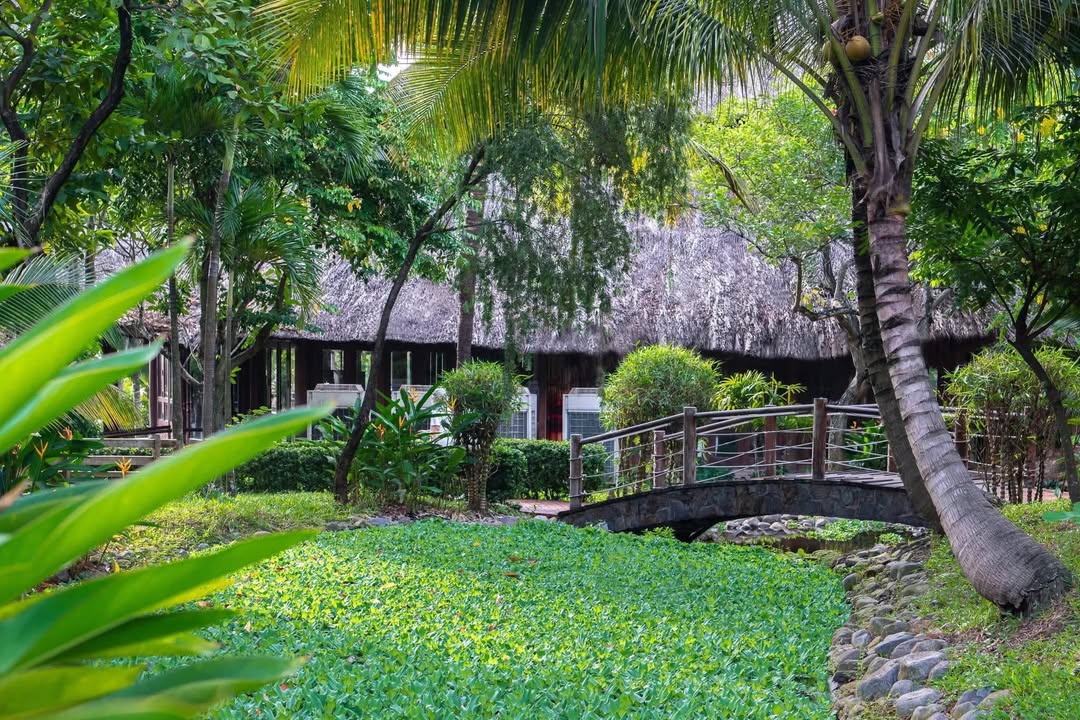 Lô Đất Khu TVSMT Quy Nhơn 80m² giá 3 tỷ - View sông tuyệt đẹp!