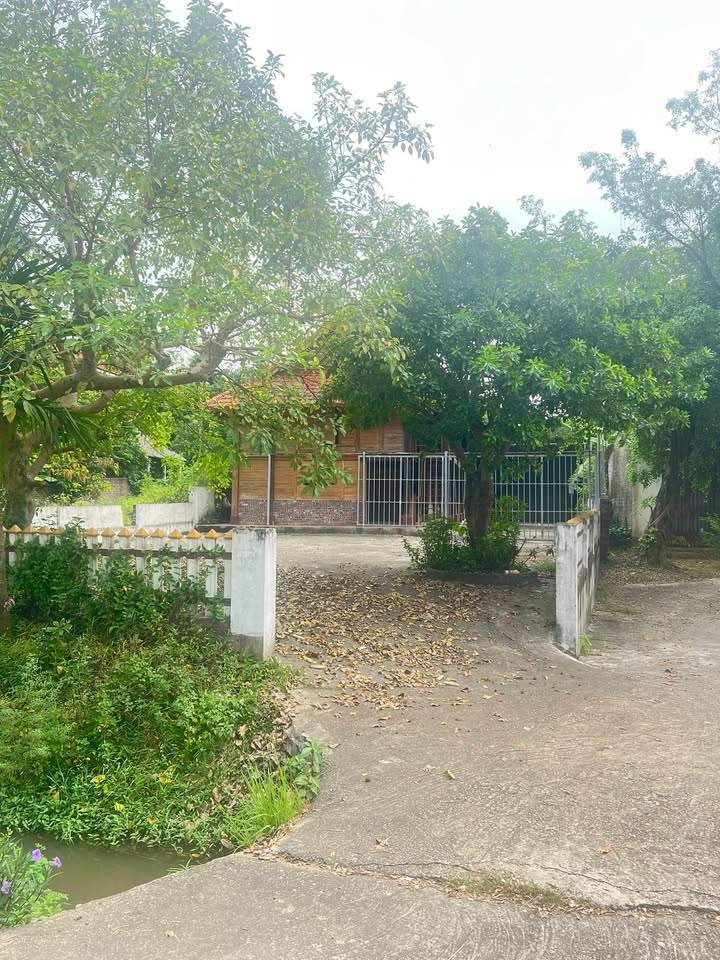 Đất thổ cư 488m² tại xã Tam Sơn, Phú Thọ - Giá chỉ 2 tỷ VND!