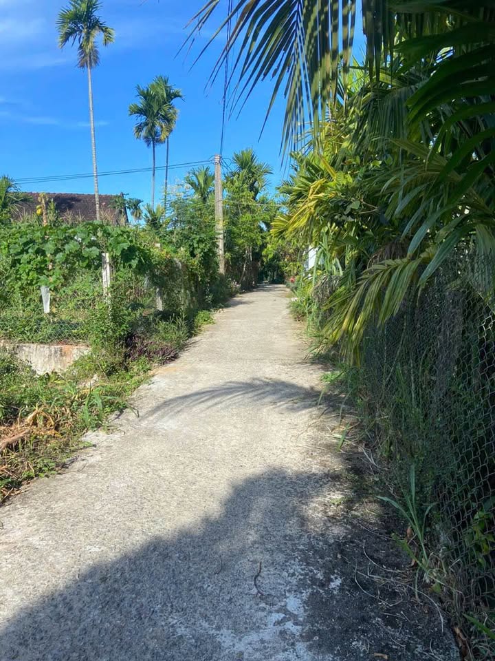 Lô đất Nghĩa Điền gần cao tốc 140m² giá 4xx triệu - Cơ hội đầu tư tuyệt vời!