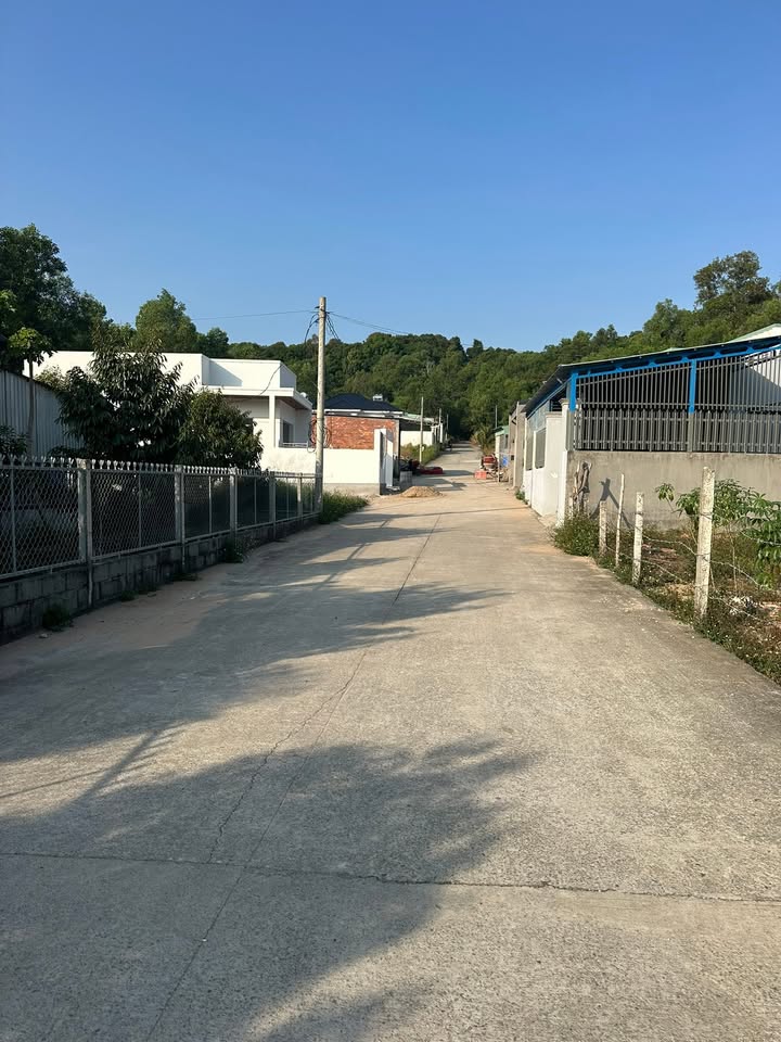 Đất nền chính chủ Phường An Thới 114m² - Đường bê tông 6m, không dính quy hoạch!