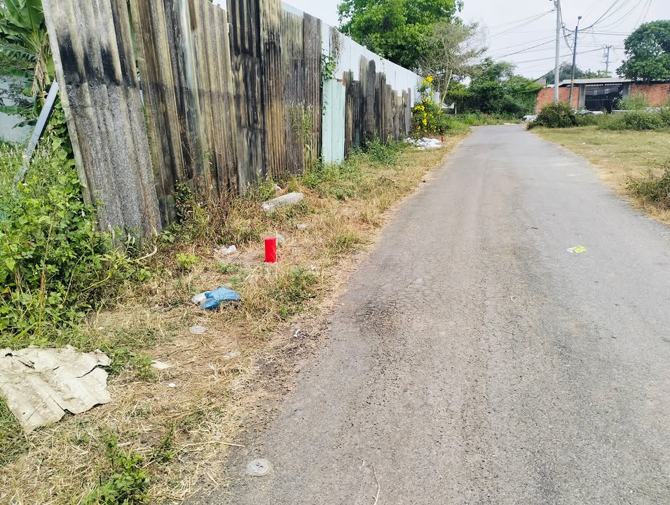 Đất nền Tân Thạnh Đông Củ Chi 513m² giá 3 tỷ - Đầu tư sinh lời ngay!