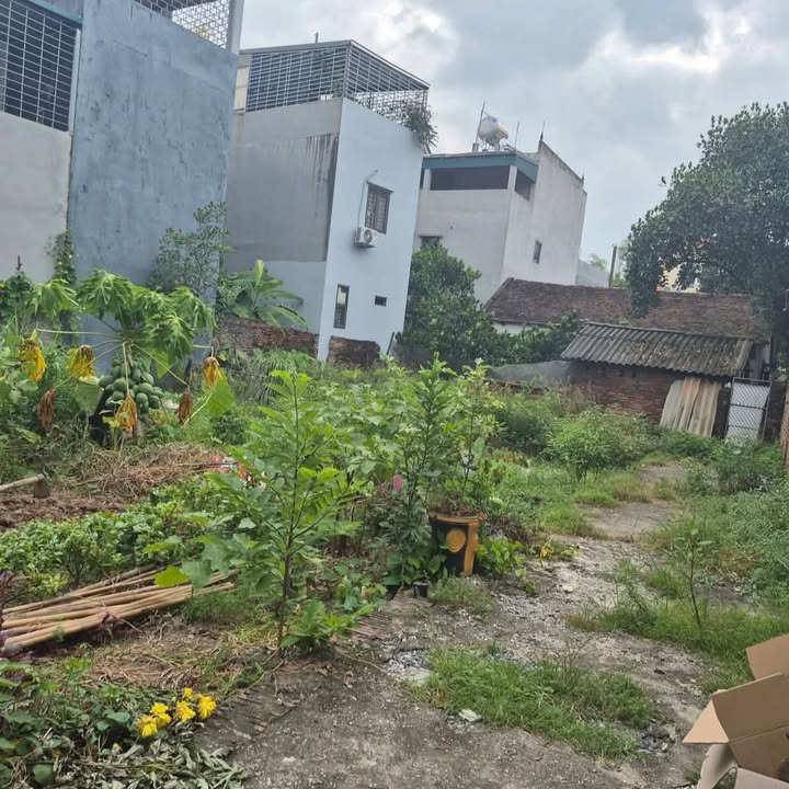 Đất nền Cổ Nhuế 45m² giá 8 tỷ - Đầu tư sinh lời ngay!