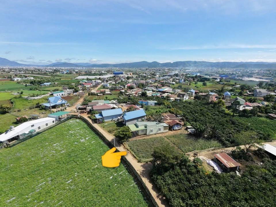 Đất 2 mặt tiền Chi Rông, Phú Hội 220m² giá 1,1 tỷ - Đầu tư sinh lời!