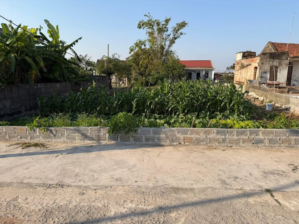 Bán đất thổ cư Thôn An Lạc, Xã Nghĩa Bình, 351.6m² - Sổ đỏ chính chủ!