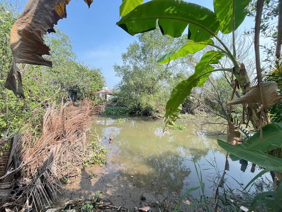 Đất nền Phước Thới 216m² giá 990 triệu - Vị trí đẹp gần sông!