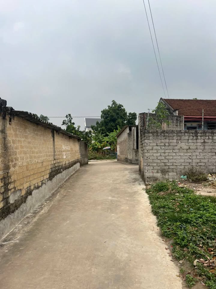 Đất nền Xã Lương Phong, Huyện Hiệp Hòa, 132m² giá chỉ 90 triệu - Sổ đỏ chính chủ