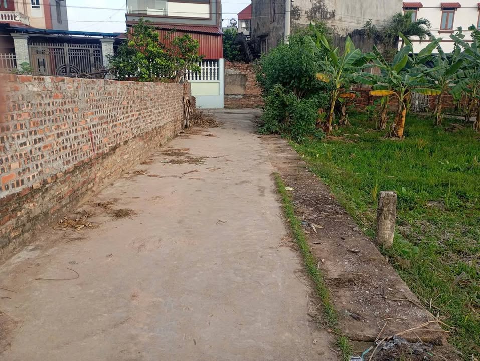 Đất nền TDP Găng - Phường Đào Viên - 140m² chỉ 1.2 tỷ - Đường ô tô đỗ cửa!