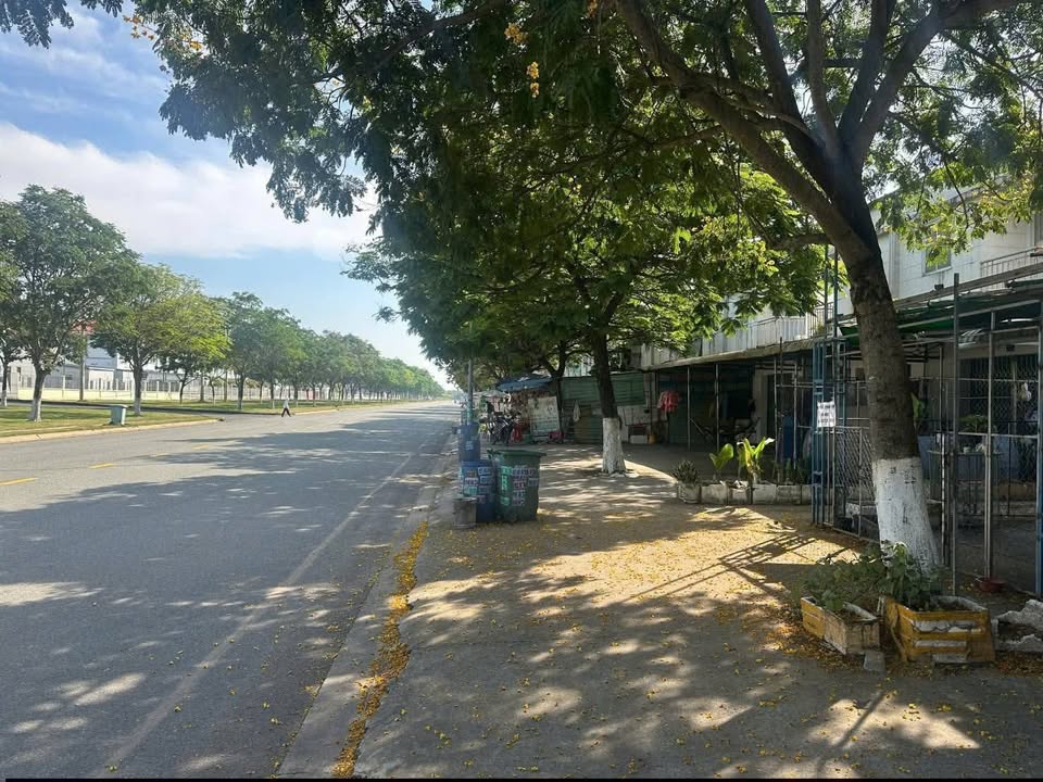 Dãy trọ 200m² tại Thủ Dầu Một giá 4.5 tỷ - Cơ hội đầu tư sinh lời!