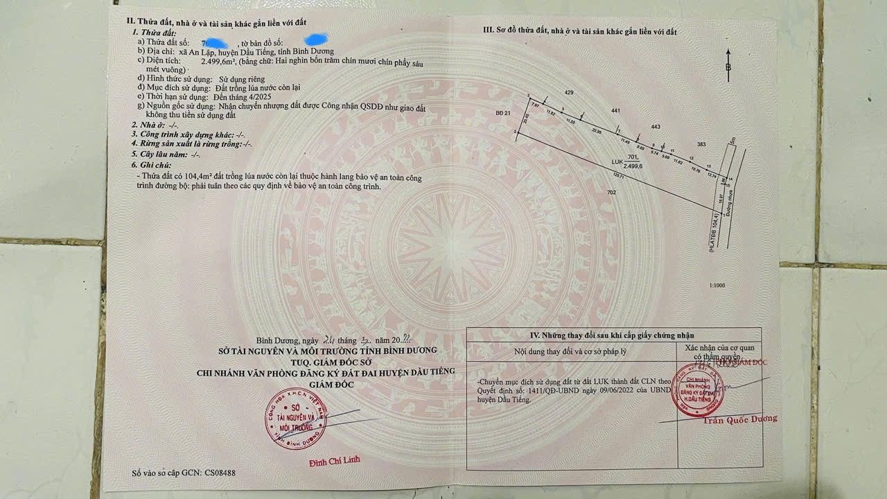 Đất mặt tiền nhựa nhánh An Lập, Dầu Tiếng 2499m² giá 170 triệu - Cơ hội đầu tư tốt!