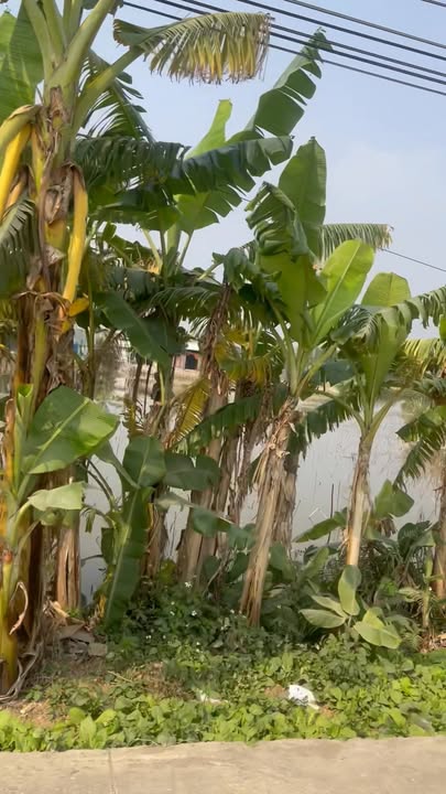 Đất nền Bái Đính, Gia Hòa, 90m² giá chỉ 16xx triệu - Cơ hội đầu tư tuyệt vời!