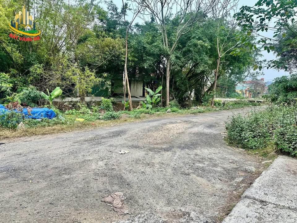 Đất nền Phường Nam Bình, Ninh Bình 110m² giá 4 tỷ - Đầu tư sinh lời dễ dàng!