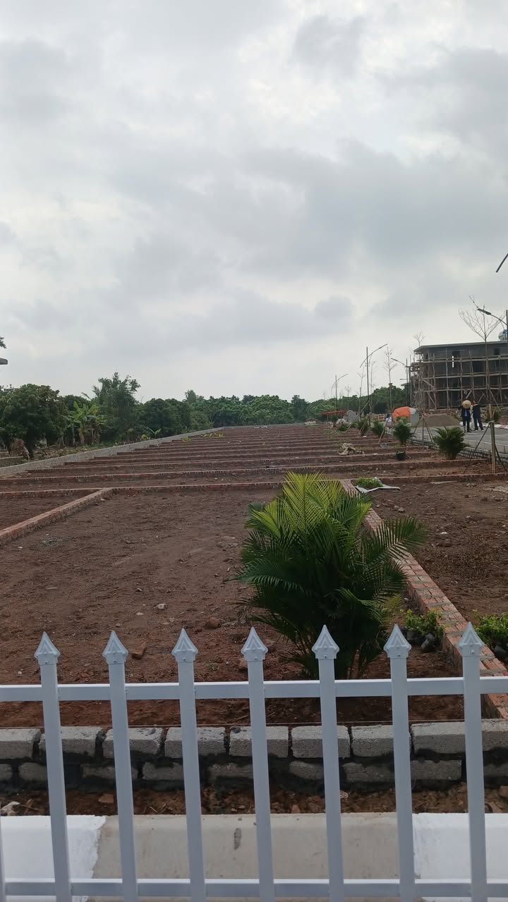 Đất nền trung tâm Thị trấn An Lão, Hải Phòng 70m² giá 300 triệu - Cơ hội đầu tư tuyệt vời!