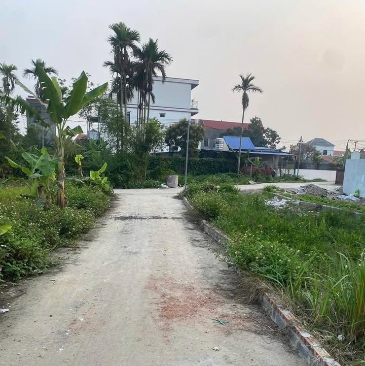 Đất nền tại Ngọc Chử, Trường Thọ, An Lão 68m² - Cơ hội đầu tư sinh lời cao!