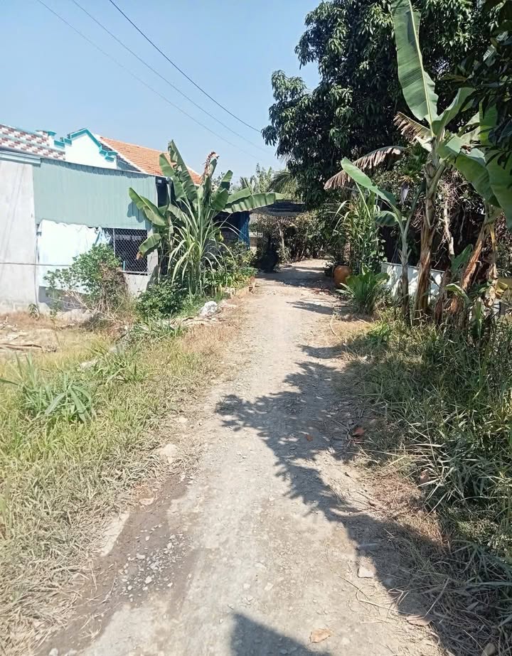 Đất nền Tân Mỹ Chánh 325m² giá 269 triệu - Cơ hội đầu tư tuyệt vời!