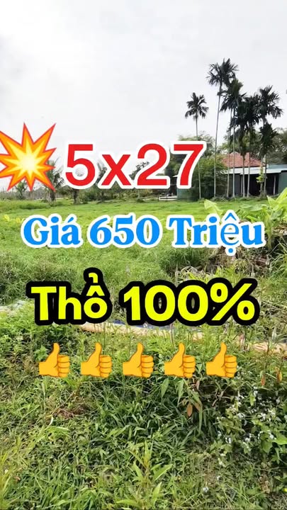 Đất nền Hòa Khánh Đông, Đức Hòa 135m² giá 650 triệu - Đầu tư sinh lời ngay!