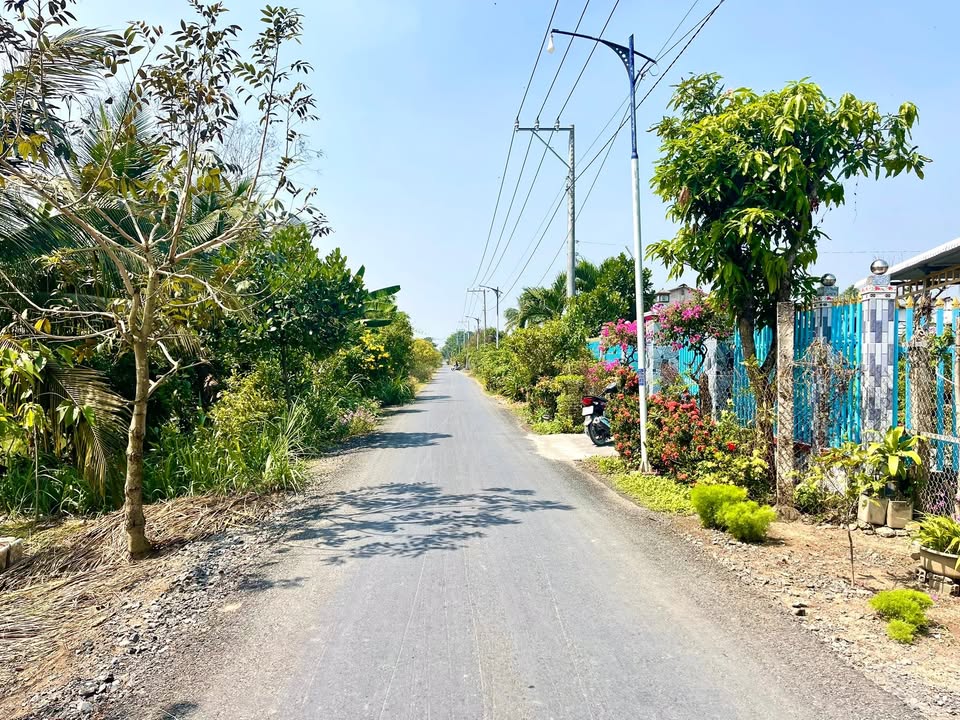 Nhà cấp 4 mặt tiền ấp Bình Đông Trung 381m² giá 1.4 tỷ - Tiện ích đầy đủ!