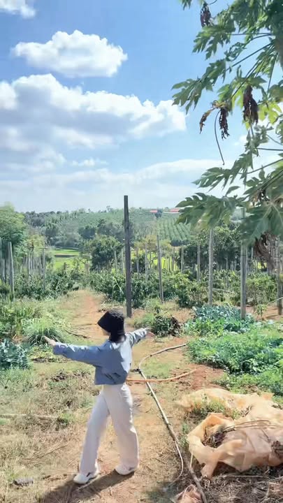 Đất nền An Phú Pleiku 2100m² giá thỏa thuận - Xây nhà vườn lý tưởng!