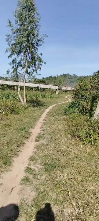 Đất nông nghiệp Ea Kar 2700m² giá 520 triệu - Phù hợp trồng rau nuôi gà!