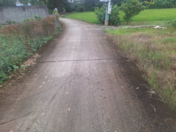 Đất nền Bình Tịnh, Tân Trụ, Long An 1343m² giá 2.45 tỷ - Sổ đỏ chính chủ!