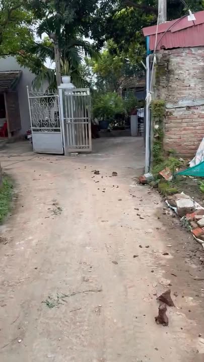 Đất nền Hồng Thái - Phú Xuyên 80m² giá 1.65 tỷ - Ô tô vào tận nơi!