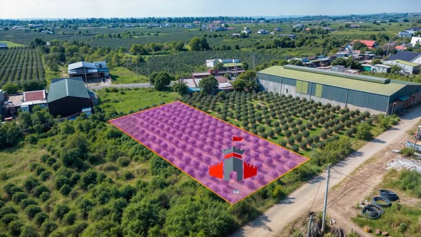 Bán đất mặt tiền đường nhựa Tân Thuận 1.234m² giá 1.9 tỷ - Sổ hồng riêng, pháp lý rõ ràng!