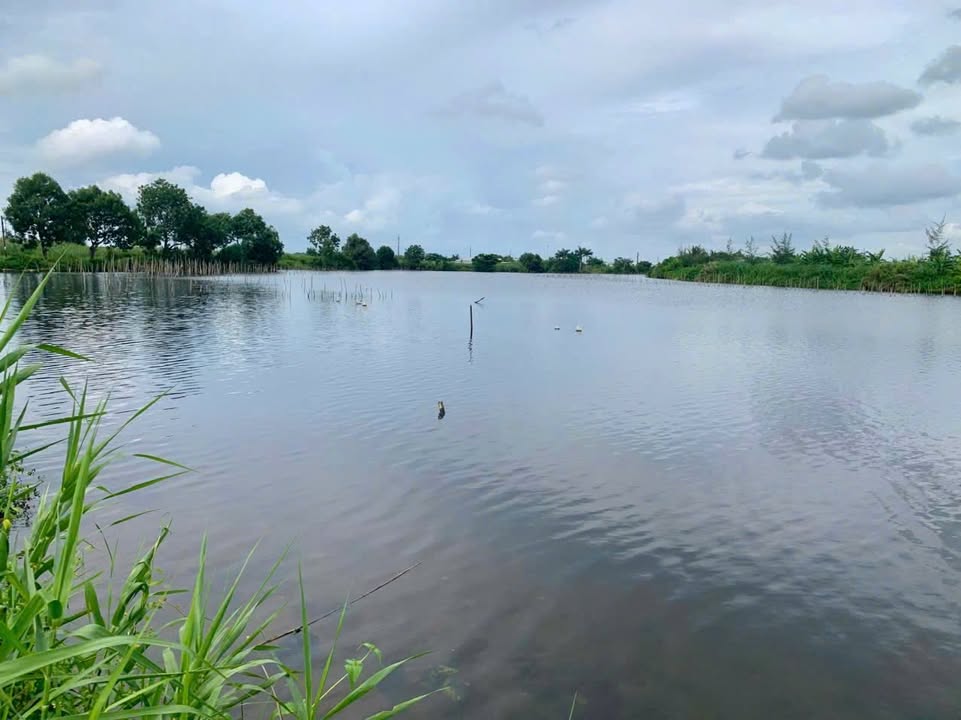 Đất nền KDC Tân Xuyên Cà Mau 306m² giá 2.2 tỷ - Sổ hồng chính chủ!