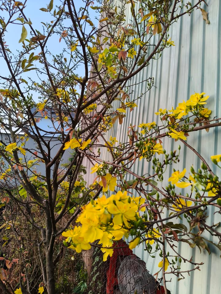 Đất mặt tiền ĐT 759, Phường Phước Bình, 647m² - Cơ hội đầu tư hấp dẫn!