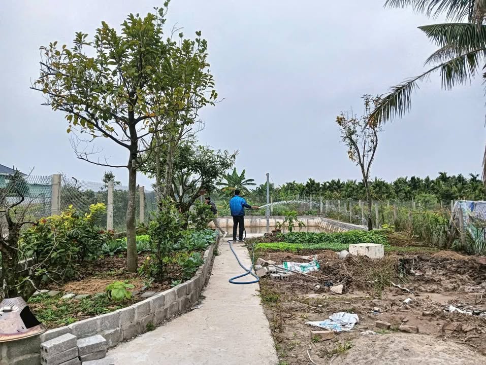 Nhà vườn mini 400m² tại Hòa Nghĩa, Dương Kinh chỉ 1 tỷ - Cơ hội hiếm có!