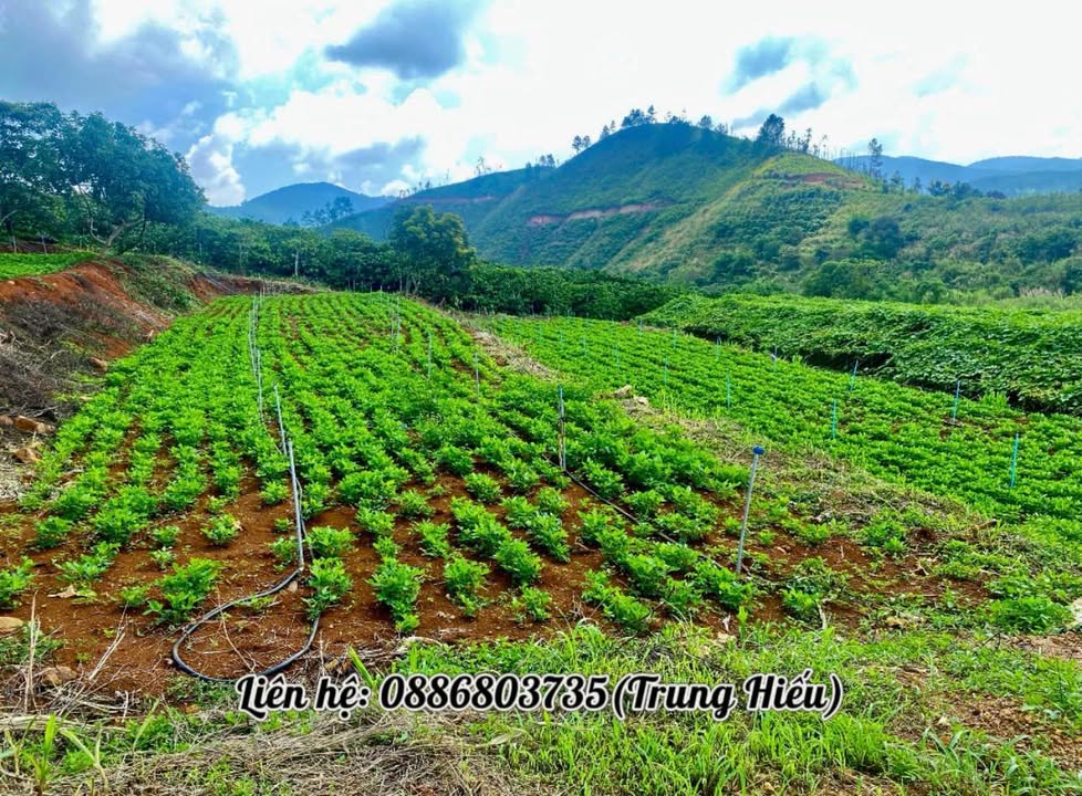 Đất nền Đức Trọng 500m² giá 1.9 tỷ - Sổ đỏ chính chủ, sang tên nhanh!