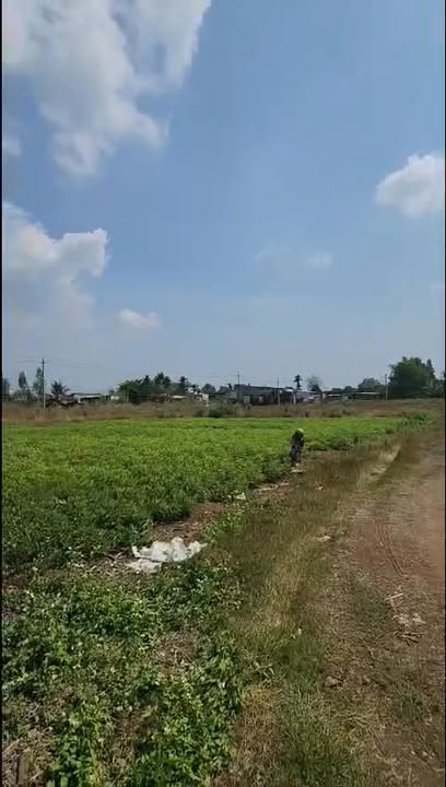 Đất nền Cẩm Mỹ, Đồng Nai 230m² giá 600 triệu - Đầu tư tiềm năng