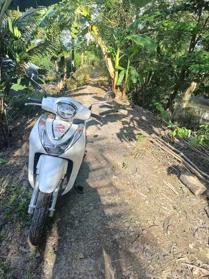 Đất lúa 60000m² mặt tiền đường đá ba gác - Giá chỉ 2.28 tỷ