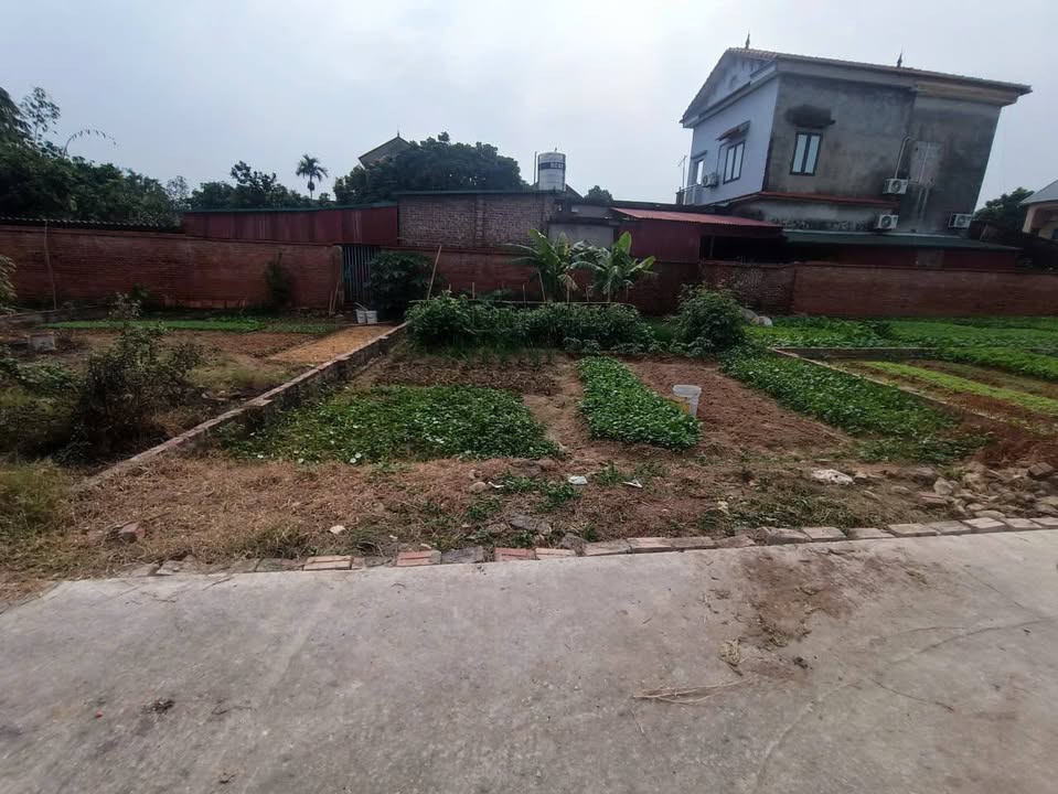 Đất nền Vụ Bản – Minh Trí – Sóc Sơn 103m² giá 2.3 tỷ - Mặt tiền 7.5m hiếm có!