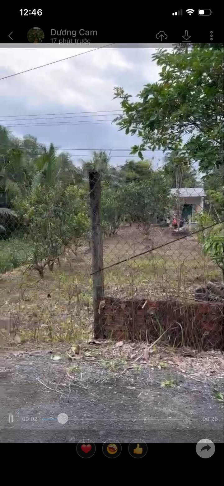 Farm bưởi Xã Nguyệt Hóa 2000m² giá 1.5 tỷ - Mặt tiền ô tô, nghỉ dưỡng lý tưởng!