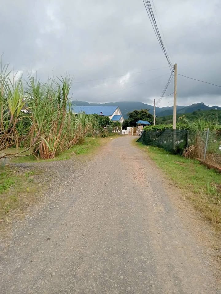 Đất nền Lộc Châu Bảo Lộc 360m² giá 1 tỷ - Sổ hồng chính chủ