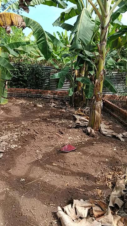 Đất nền 96m² tại Ấp 6, Sông Trầu - Sổ hồng chính chủ chỉ 690 triệu!