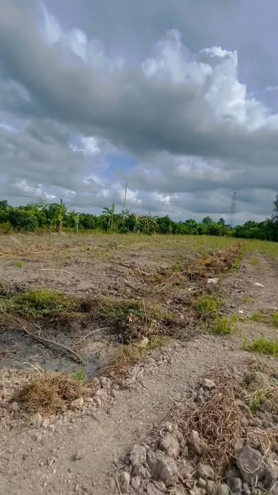 Đất nền mặt tiền QL91, Đường Tôn Đức Thắng, 9000m² - Thỏa thuận giá tốt!