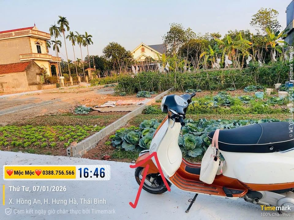 Đất nền Hưng Hà 117m² giá chỉ 500 triệu - Sổ đỏ chính chủ, gần chợ và trường học!