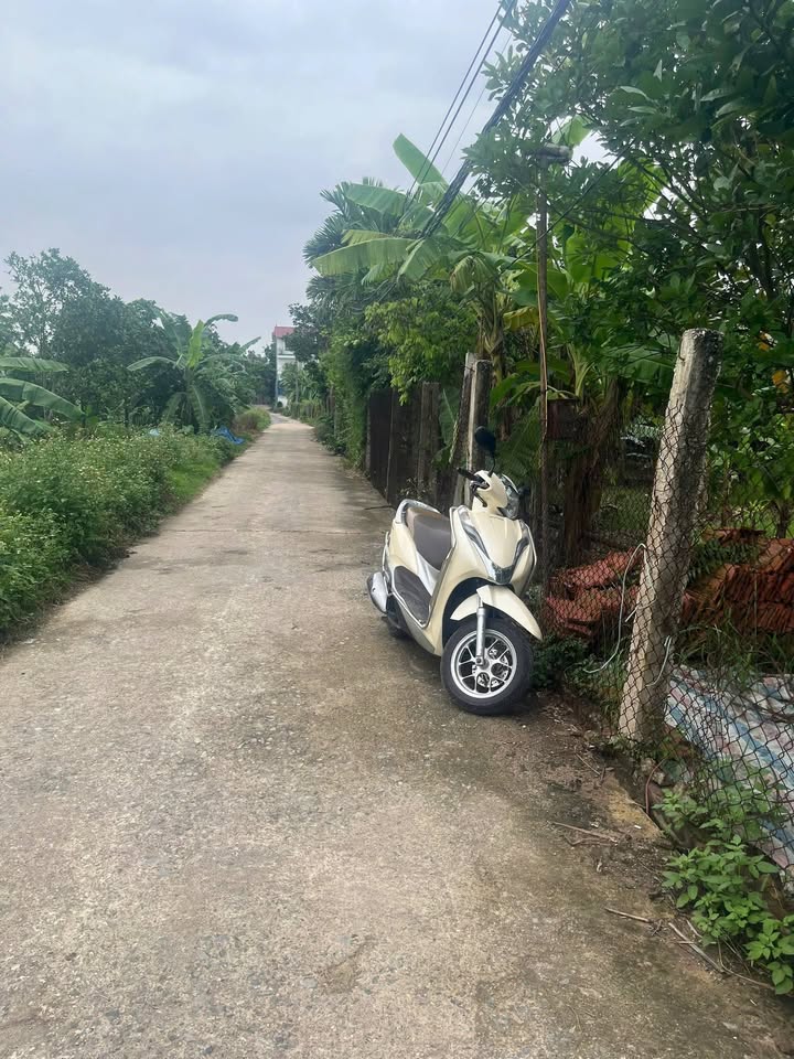 Đất thổ cư 982m² tại xã Vạn Phúc, Thanh Trì - Giá chỉ 5.1 tỷ, sổ hồng chính chủ!