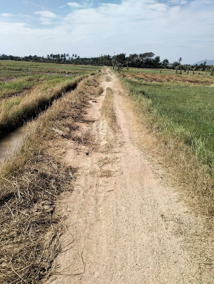 Đất nông nghiệp 300m² Đô Vinh Phan Rang chỉ 250 triệu - Cơ hội đầu tư hấp dẫn!