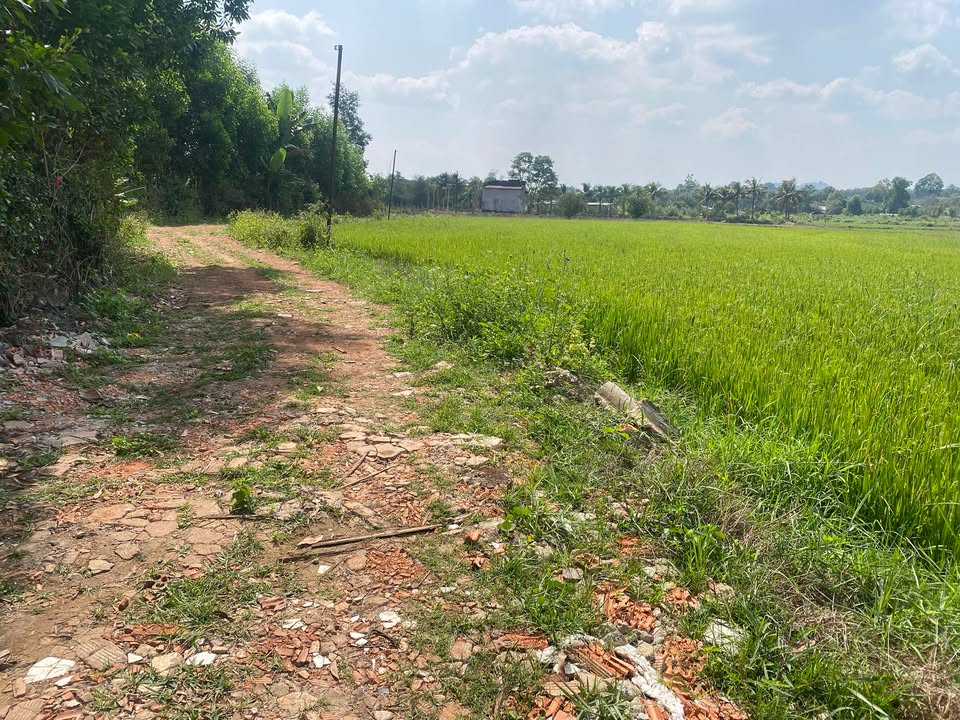 Đất thổ cư Xuân Trường Đà Lạt 154m² giá chỉ 3xx triệu - Cơ hội đầu tư tuyệt vời!